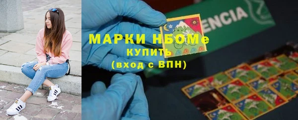 ALPHA-PVP Новозыбков