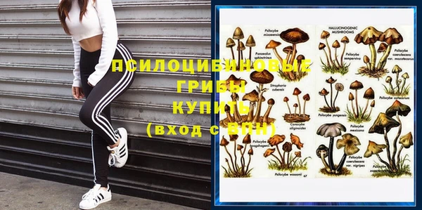 эйфоретик Навашино