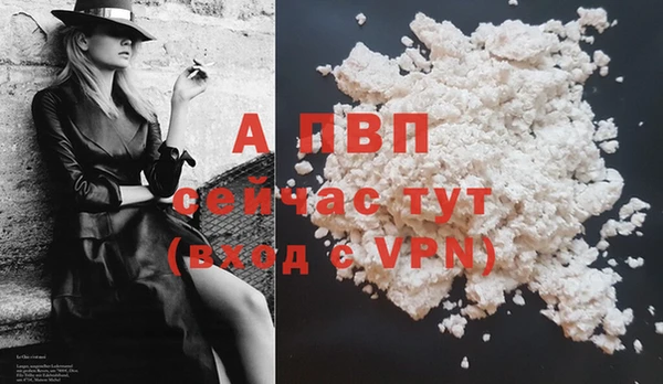 гашик Новодвинск