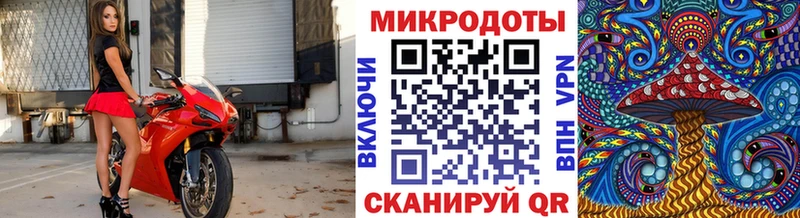 Псилоцибиновые грибы мухоморы  как найти   Изобильный 
