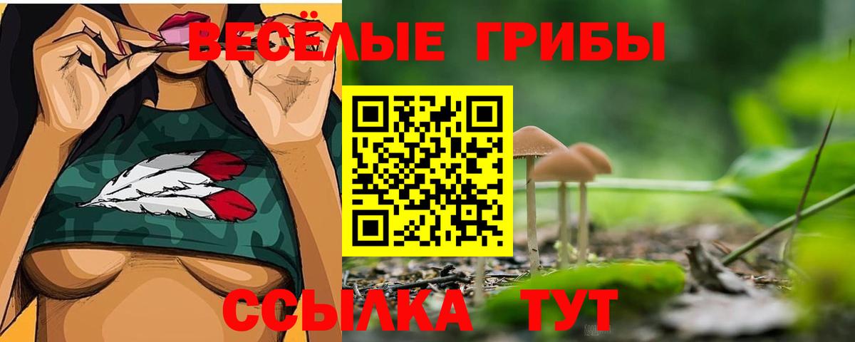 Псилоцибиновые грибы Cubensis Изобильный