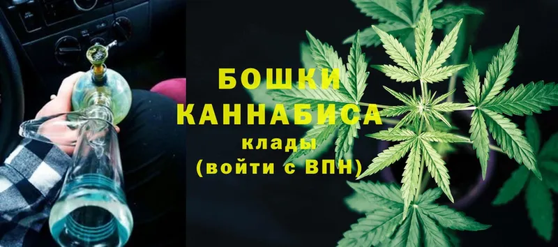 купить   Изобильный  Бошки Шишки индика 